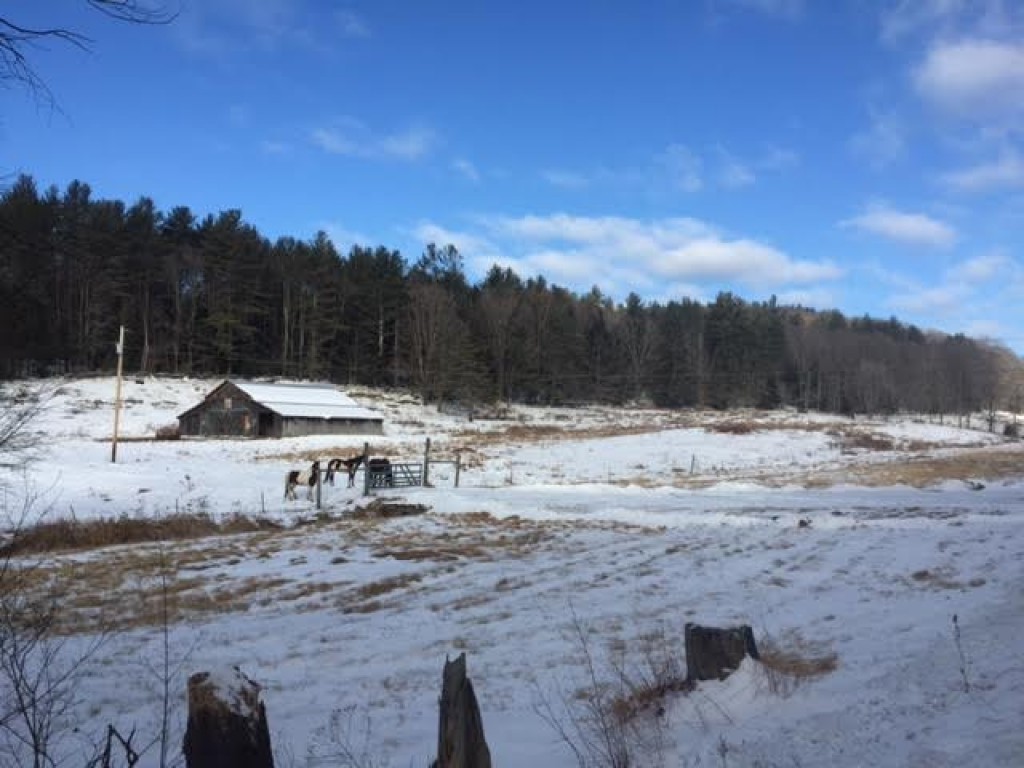 583 Chester Hill Road Grafton, VT 05146 - Photo 2 of 9 Gallery Image 2
