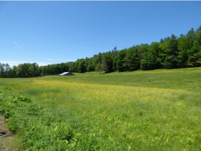 583 Chester Hill Road Grafton, VT 05146 - Photo 3 of 9 Gallery Image 3
