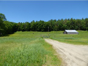 583 Chester Hill Road Grafton, VT 05146 - Photo 4 of 9 Gallery Image 4