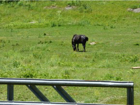 583 Chester Hill Road Grafton, VT 05146 - Photo 5 of 9 Gallery Image 5