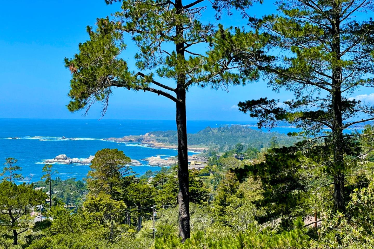 219 Peter Pan Road Carmel, CA 93923 - Photo 16 of 33 a view of a garden