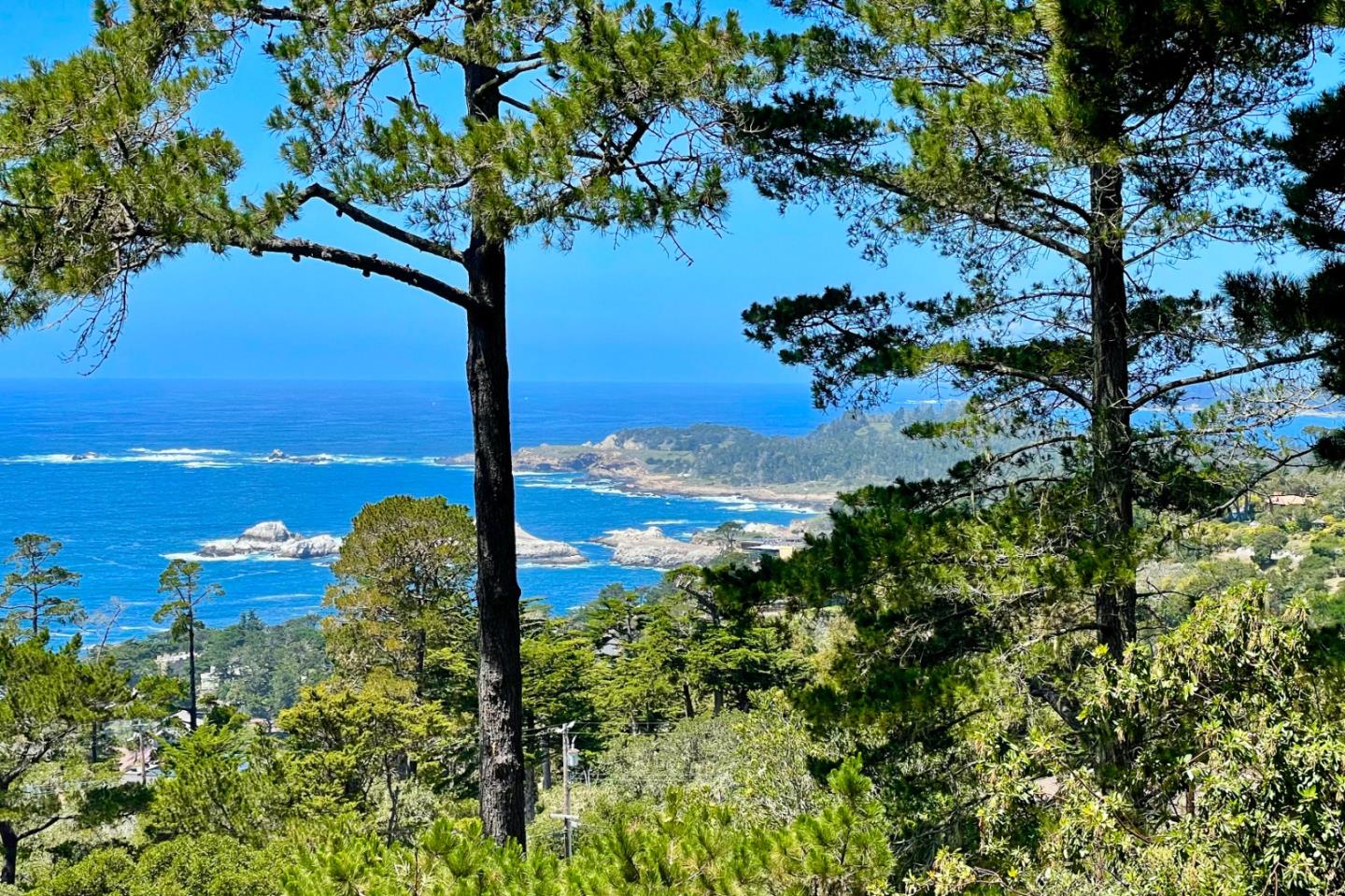 219 Peter Pan Road Carmel, CA 93923 - Photo 17 of 33 a view of a garden