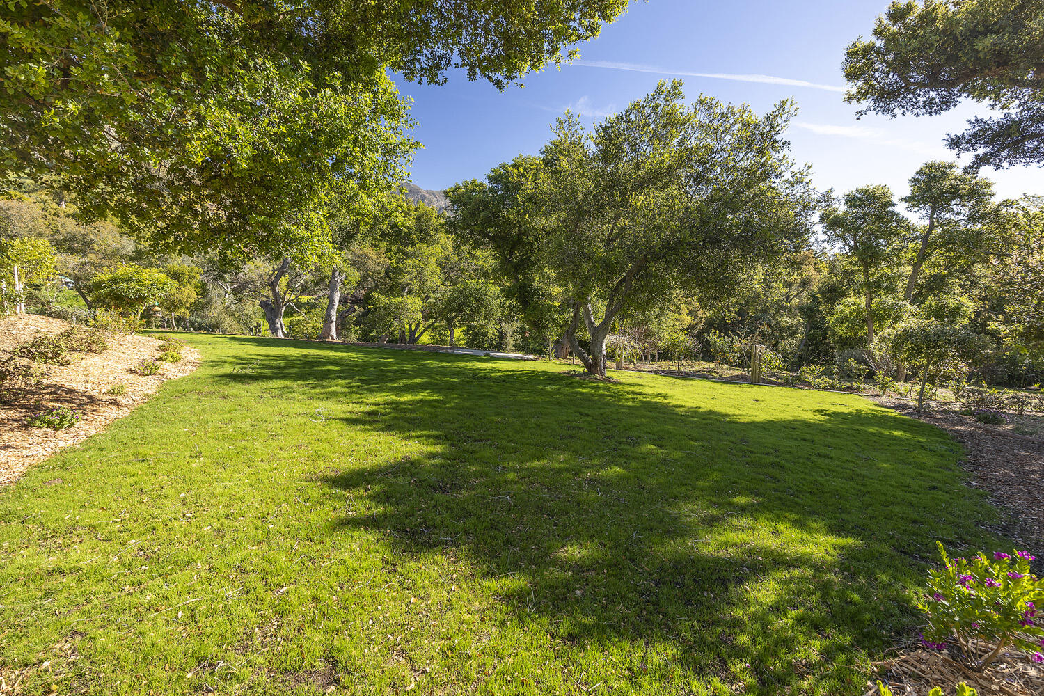 802 Oak Grove Drive Montecito, CA 93108 - Photo 19 of 20 a view of yard with green space and trees all around