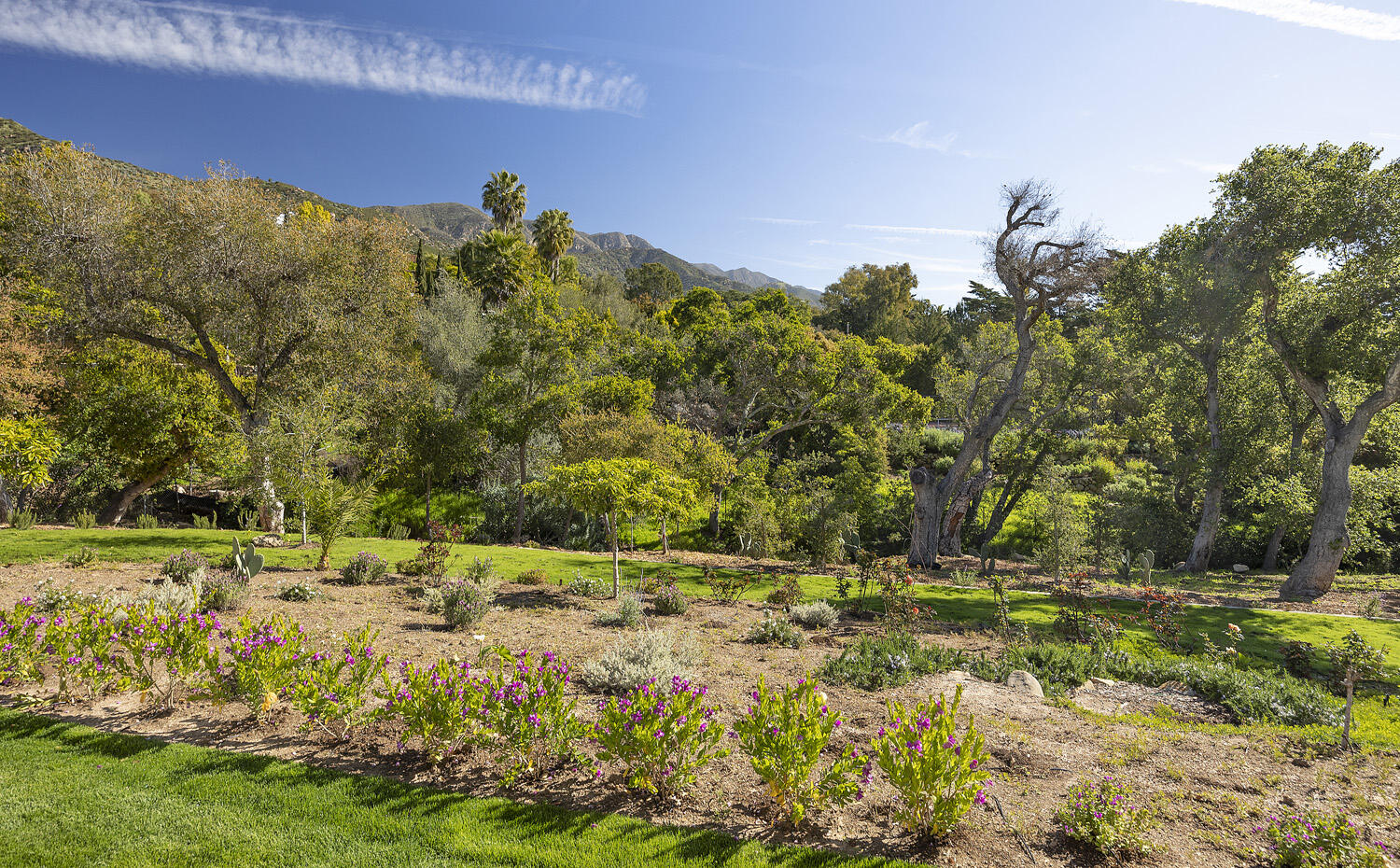 802 Oak Grove Drive Montecito, CA 93108 - Photo 7 of 20 a view of a yard with a tree