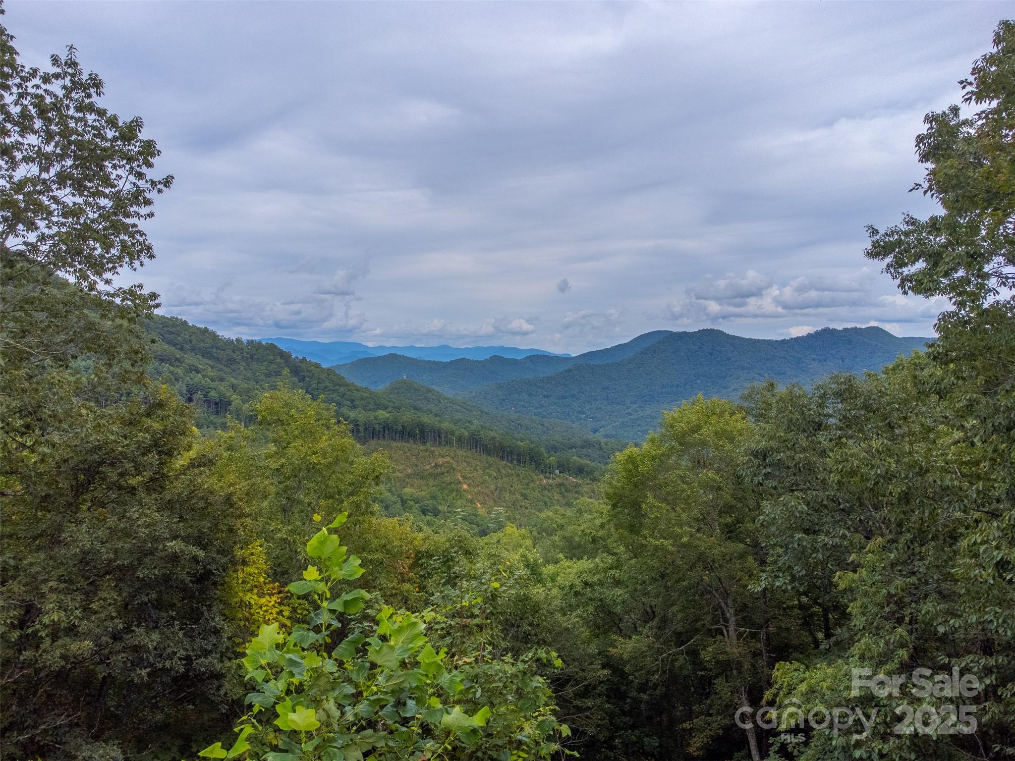 117 Blustery Ridge Sylva, NC 28779 - Photo 44 of 48