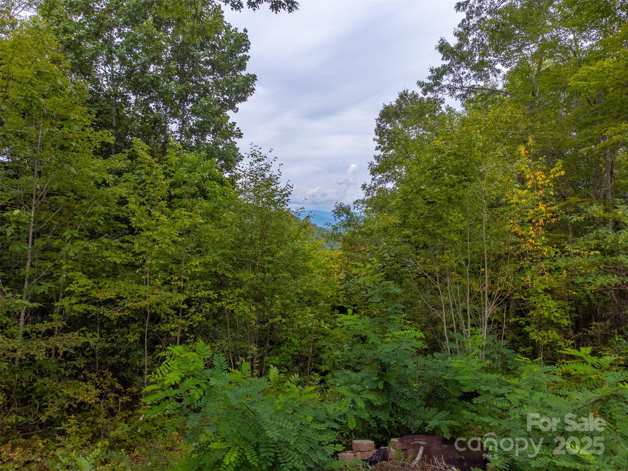 117 Blustery Ridge Sylva, NC 28779 - Photo 47 of 48