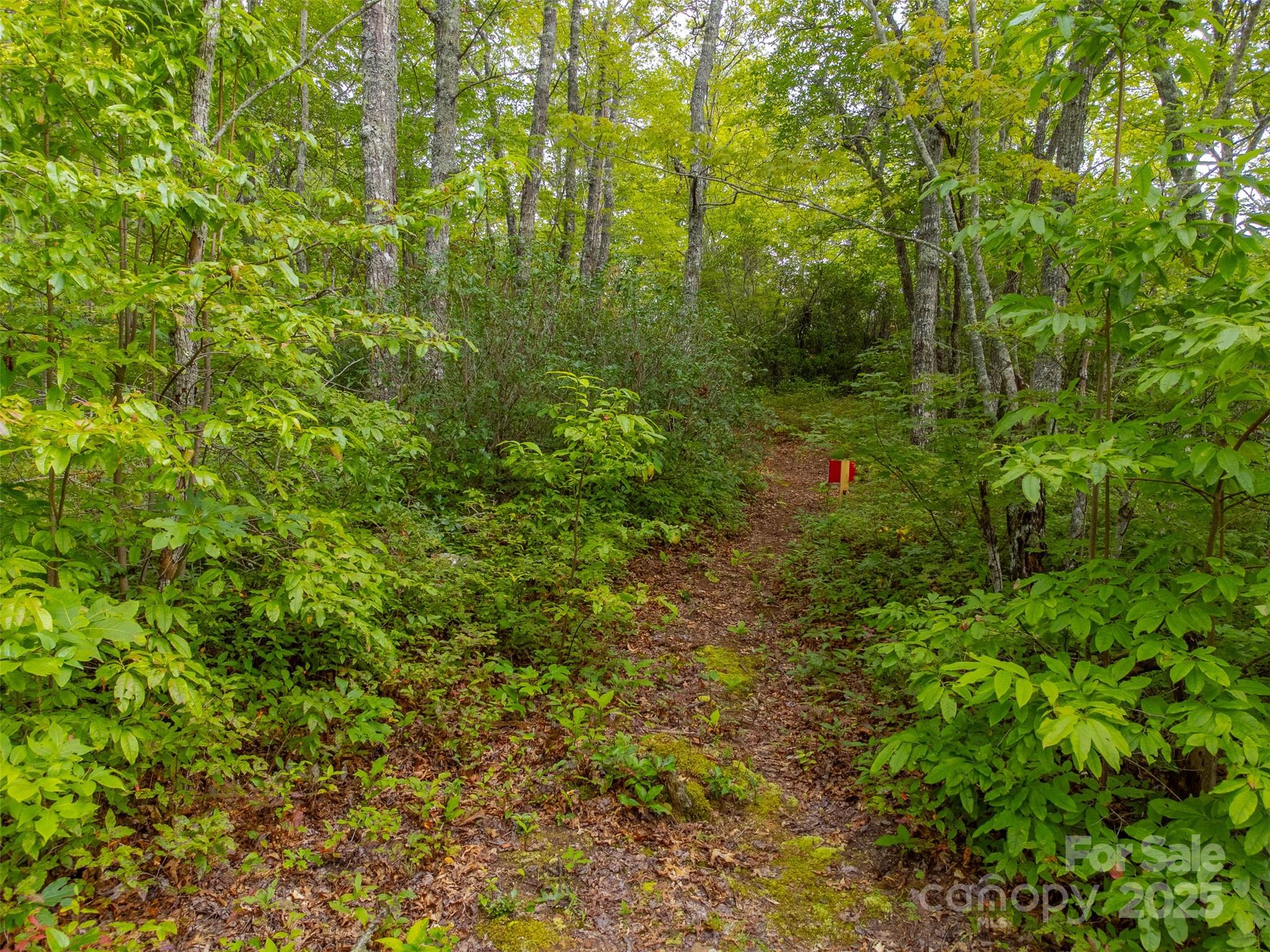 117 Blustery Ridge Sylva, NC 28779 - Photo 48 of 48