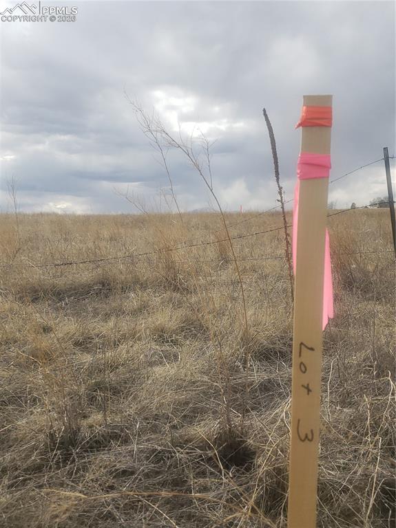 14655 Davis Road Peyton, CO 80831 - Photo 5 of 5