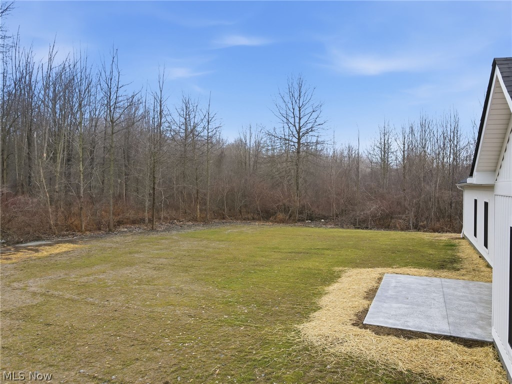 4656 Carpenter Road Ashtabula, OH 44004 - Photo 36 of 39