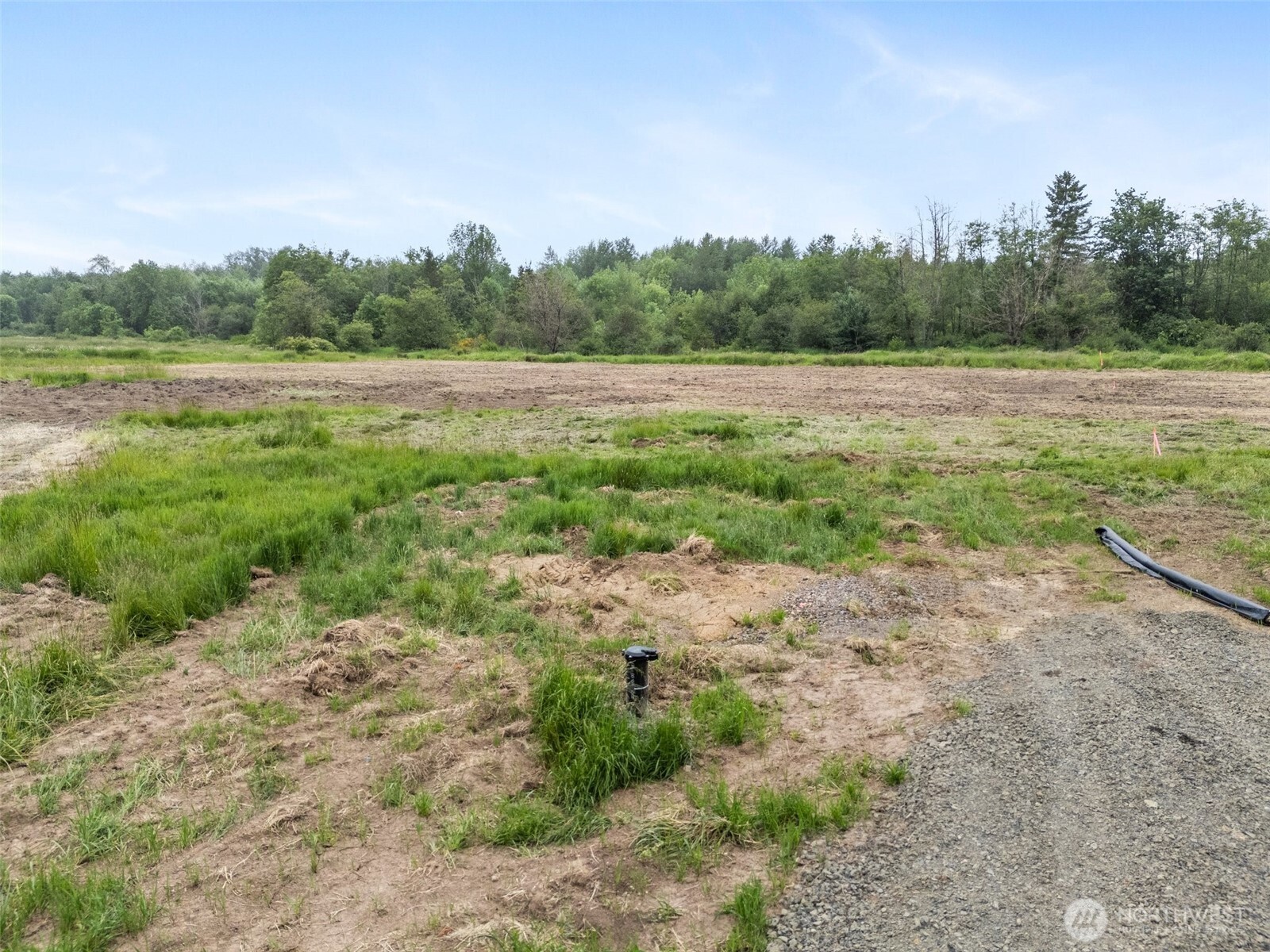235 Allison Road Ethel, WA 98542 - Photo 5 of 20 a view of a field with trees in background