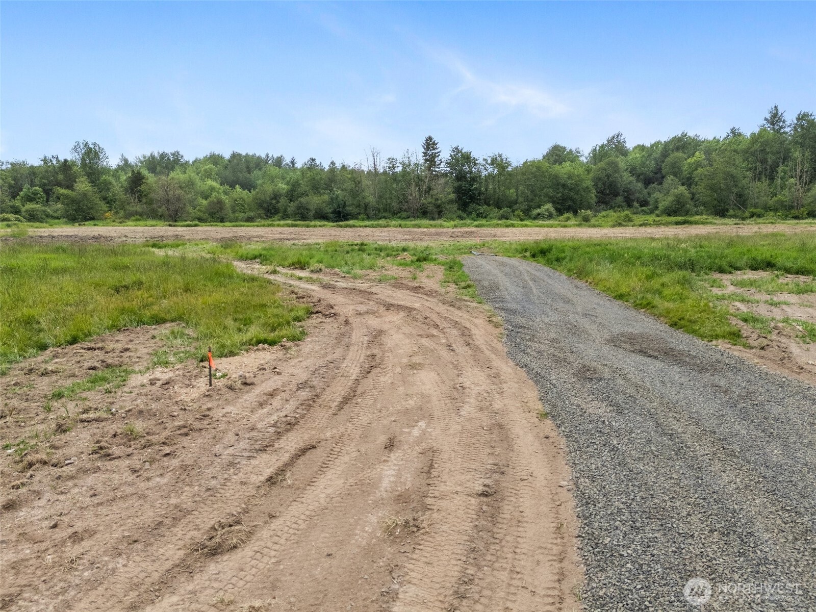 235 Allison Road Ethel, WA 98542 - Photo 6 of 20 a view of a yard with a lake view