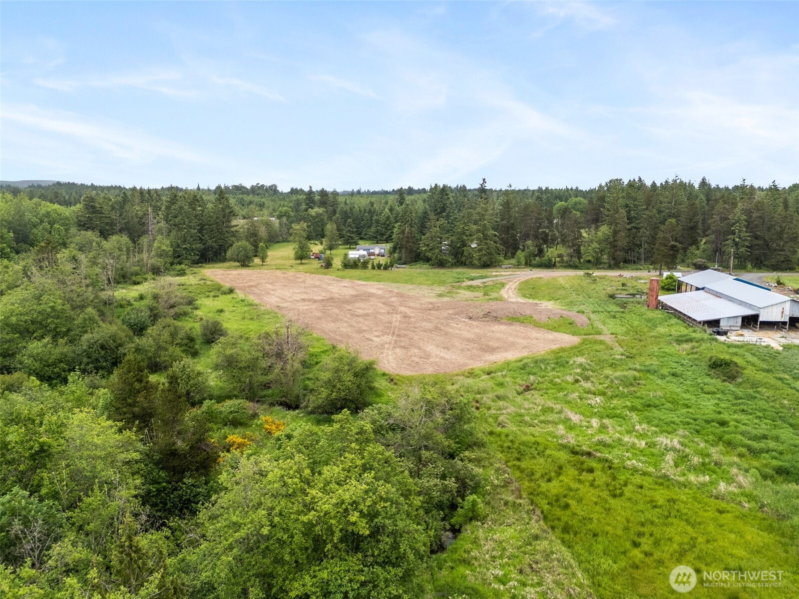 235 Allison Road Ethel, WA 98542 - Photo 8 of 20 a view of a big yard with large trees