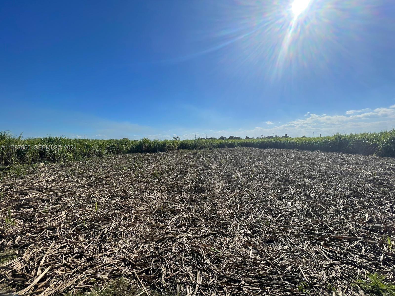 80 State Road Clewiston, FL 33440 - Photo 2 of 7 Photo 2