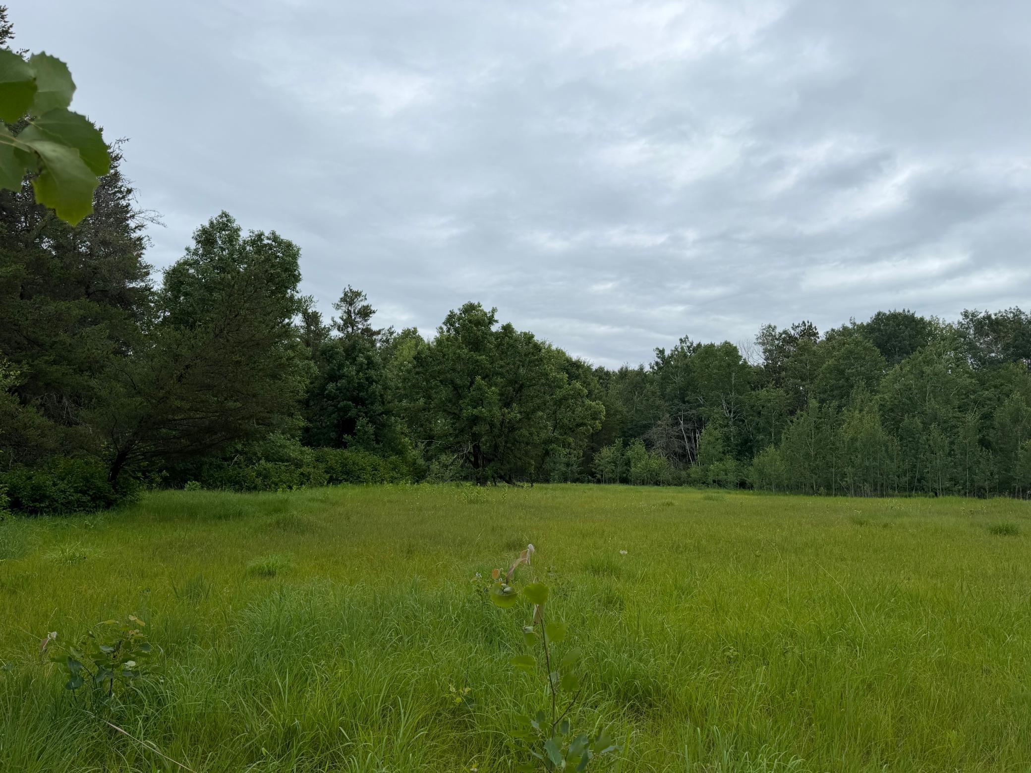 Tbd 350th Street Sebeka, MN 56477 - Photo 64 of 100