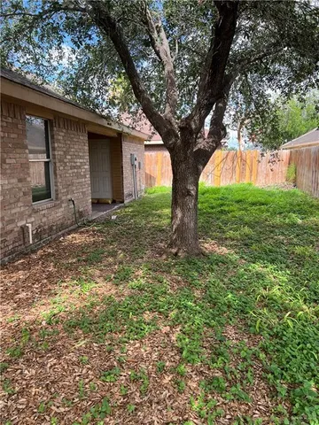 a tree in the middle of a yard