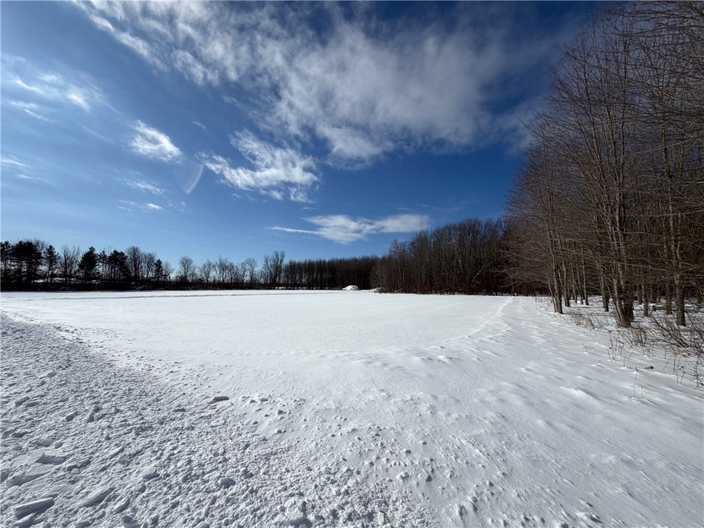 Carpenter Road Evans, NY 14006 - Photo 1 of 23