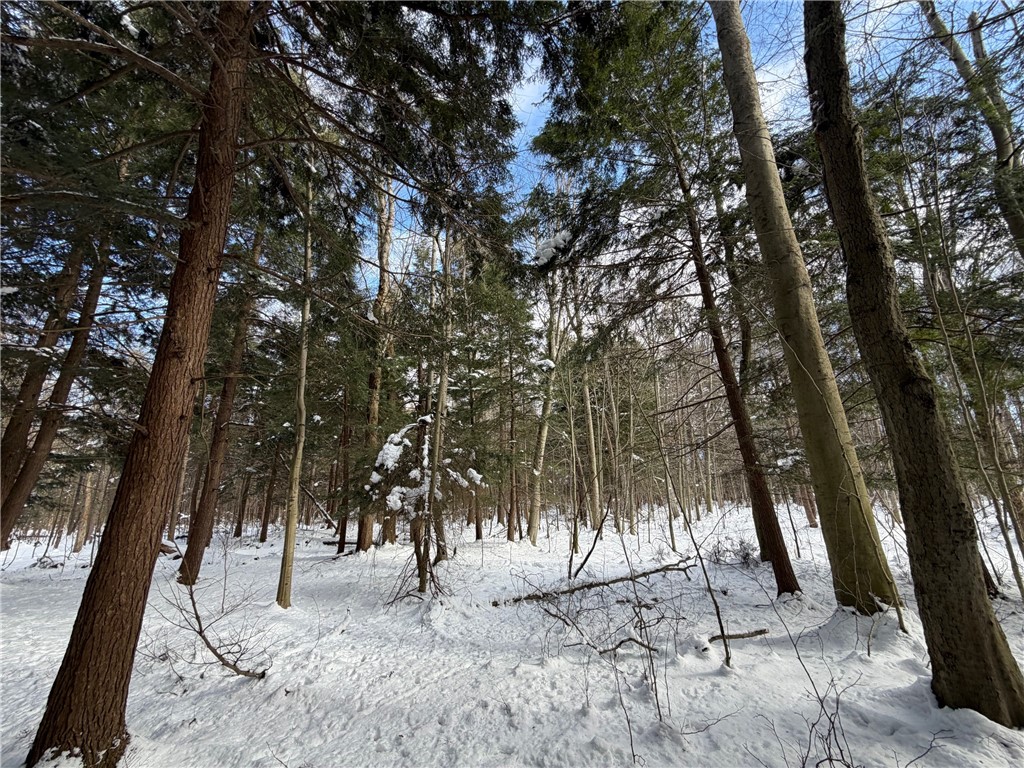 Carpenter Road Evans, NY 14006 - Photo 12 of 23