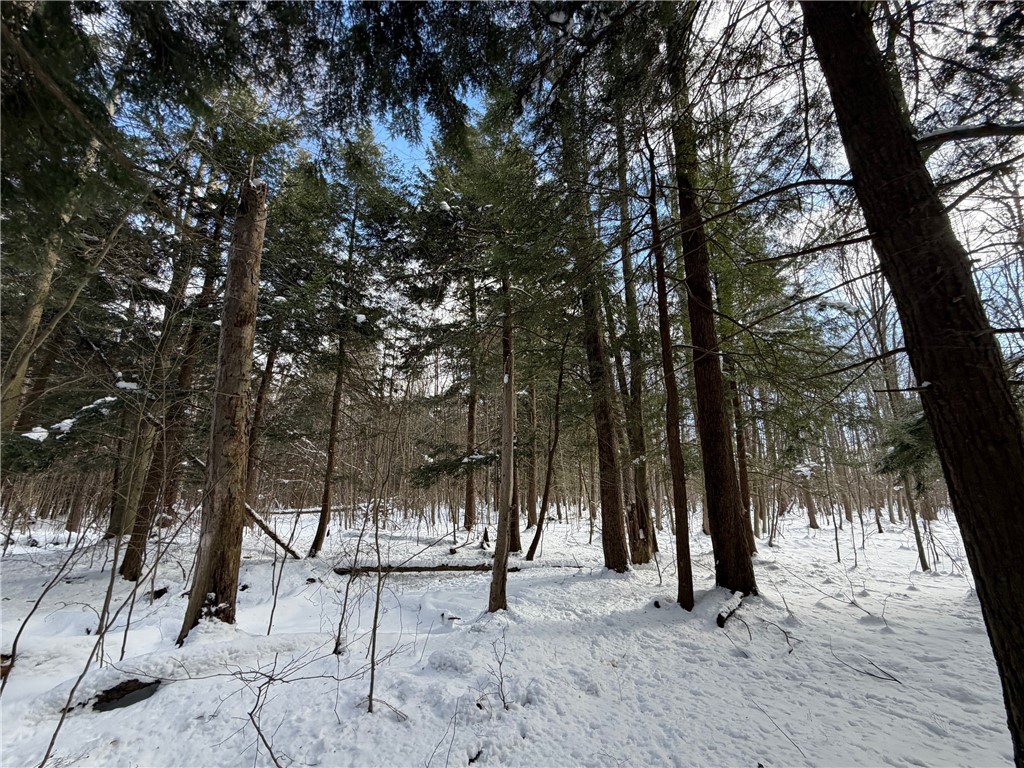 Carpenter Road Evans, NY 14006 - Photo 13 of 23