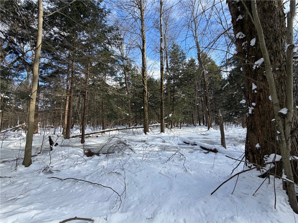 Carpenter Road Evans, NY 14006 - Photo 14 of 23