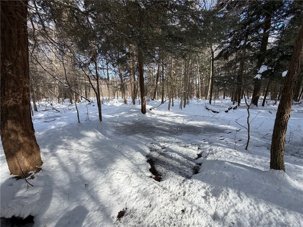 Carpenter Road Evans, NY 14006 - Photo 16 of 23