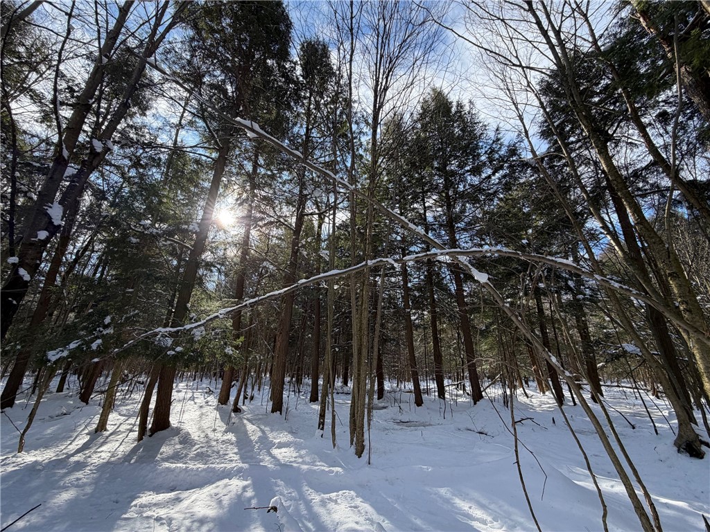 Carpenter Road Evans, NY 14006 - Photo 17 of 23