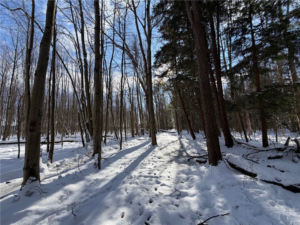 Carpenter Road Evans, NY 14006 - Photo 18 of 23