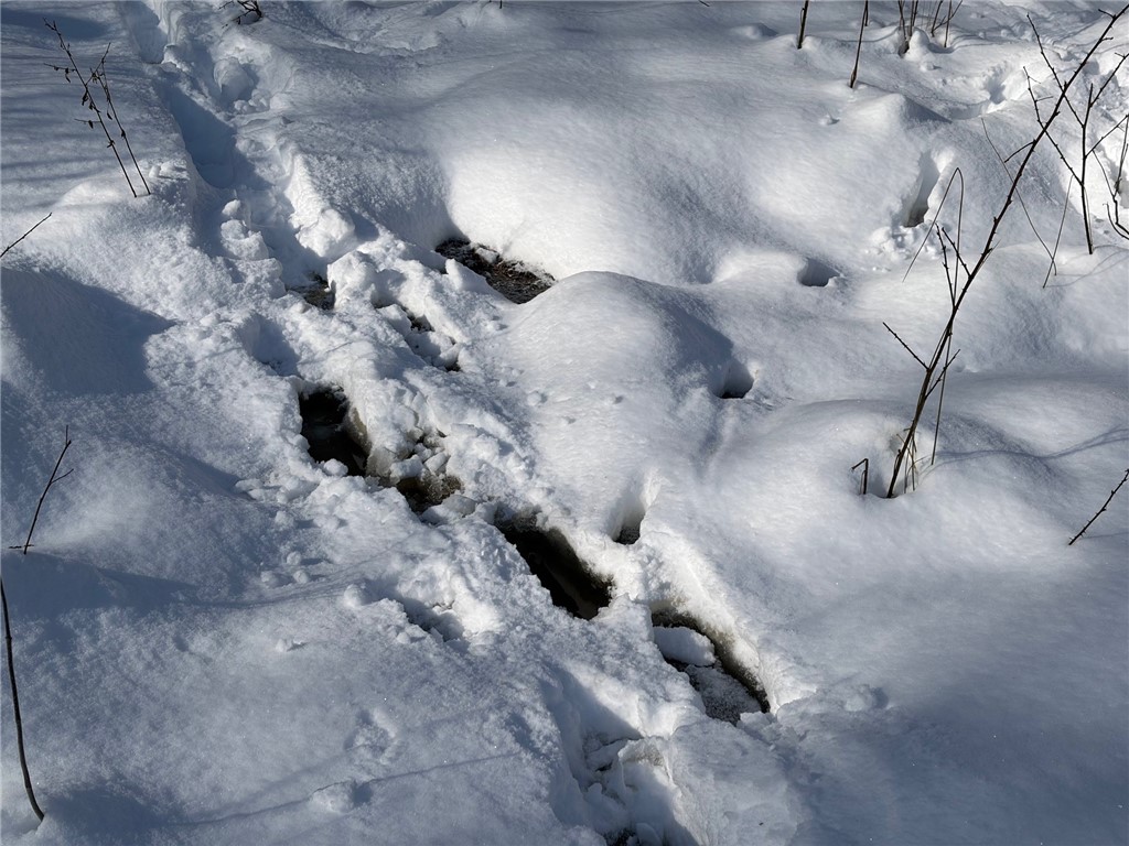 Carpenter Road Evans, NY 14006 - Photo 20 of 23
