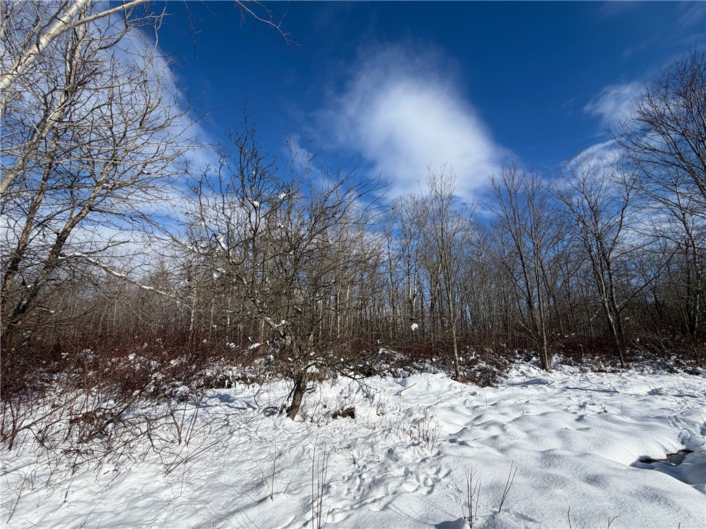 Carpenter Road Evans, NY 14006 - Photo 21 of 23