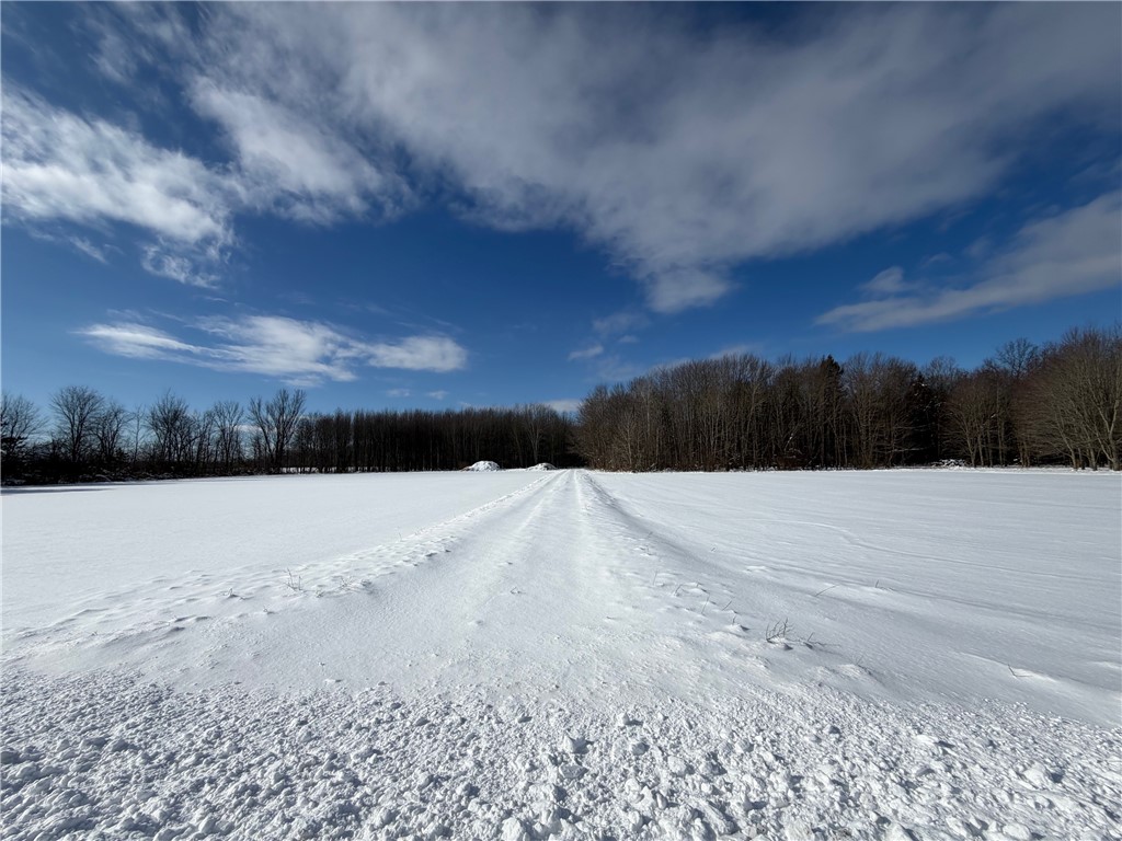 Carpenter Road Evans, NY 14006 - Photo 3 of 23