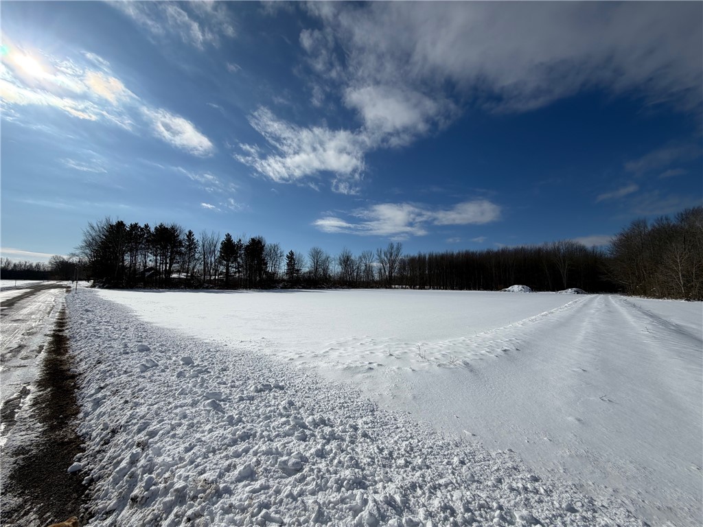 Carpenter Road Evans, NY 14006 - Photo 4 of 23