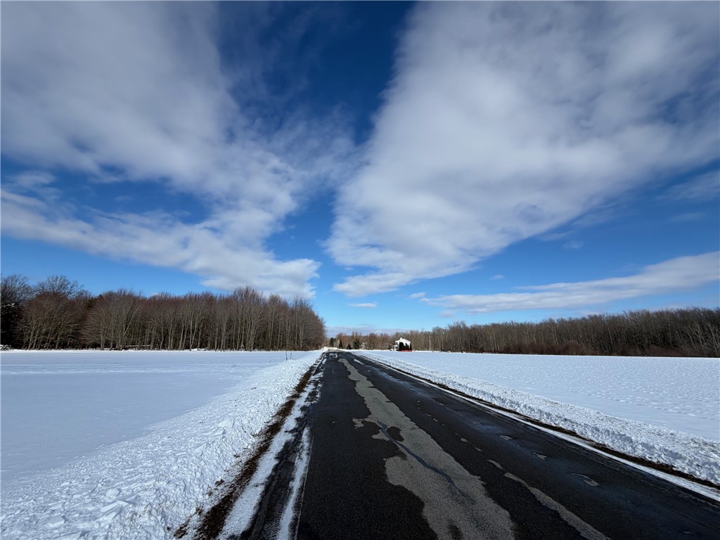 Carpenter Road Evans, NY 14006 - Photo 6 of 23