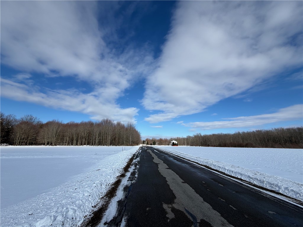 Carpenter Road Evans, NY 14006 - Photo 7 of 23