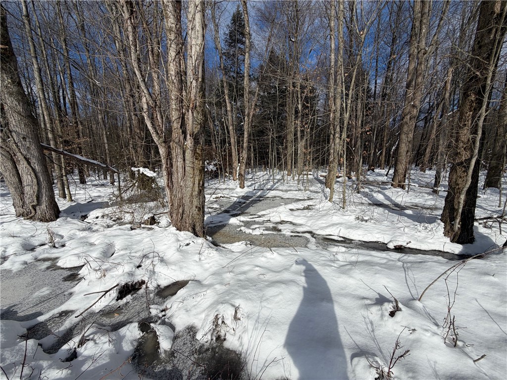 Carpenter Road Evans, NY 14006 - Photo 8 of 23