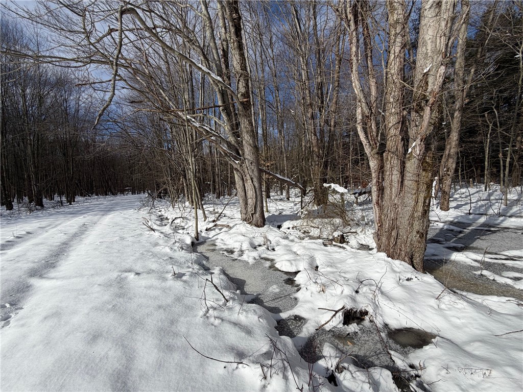 Carpenter Road Evans, NY 14006 - Photo 9 of 23