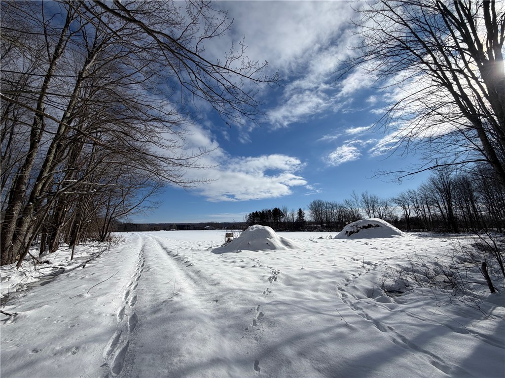 Carpenter Road Evans, NY 14006 - Photo 10 of 23