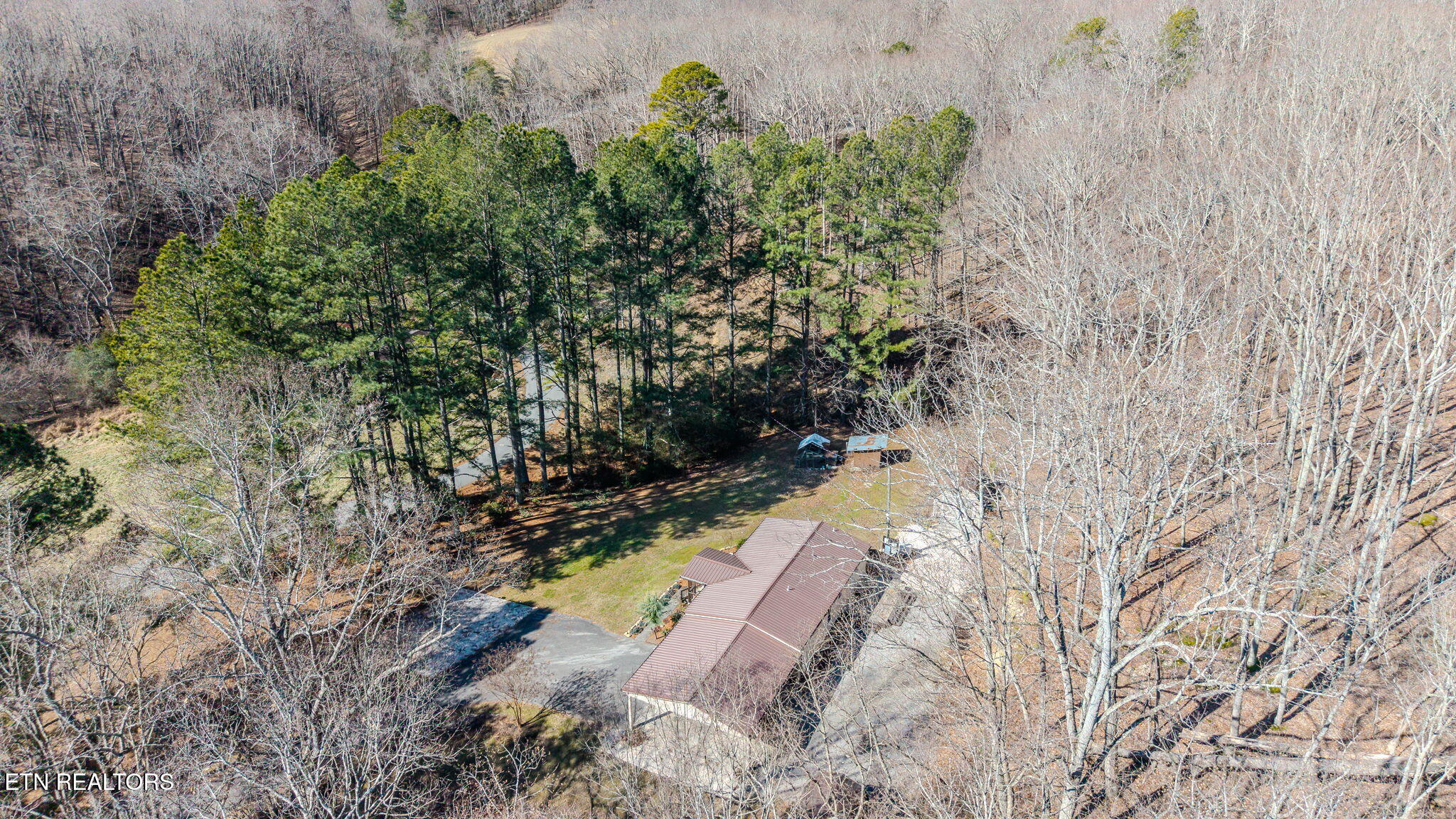 1710 Estes Road Loudon, TN 37774 - Photo 23 of 27 Surrounded by mature trees