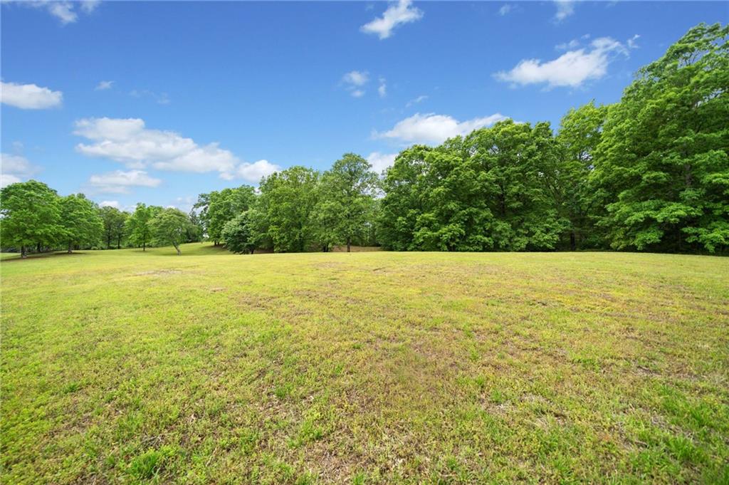 945 Old Federal Road South Chatsworth, GA 30705 - Photo 2 of 11