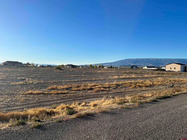 a view of a yard with wooden fence