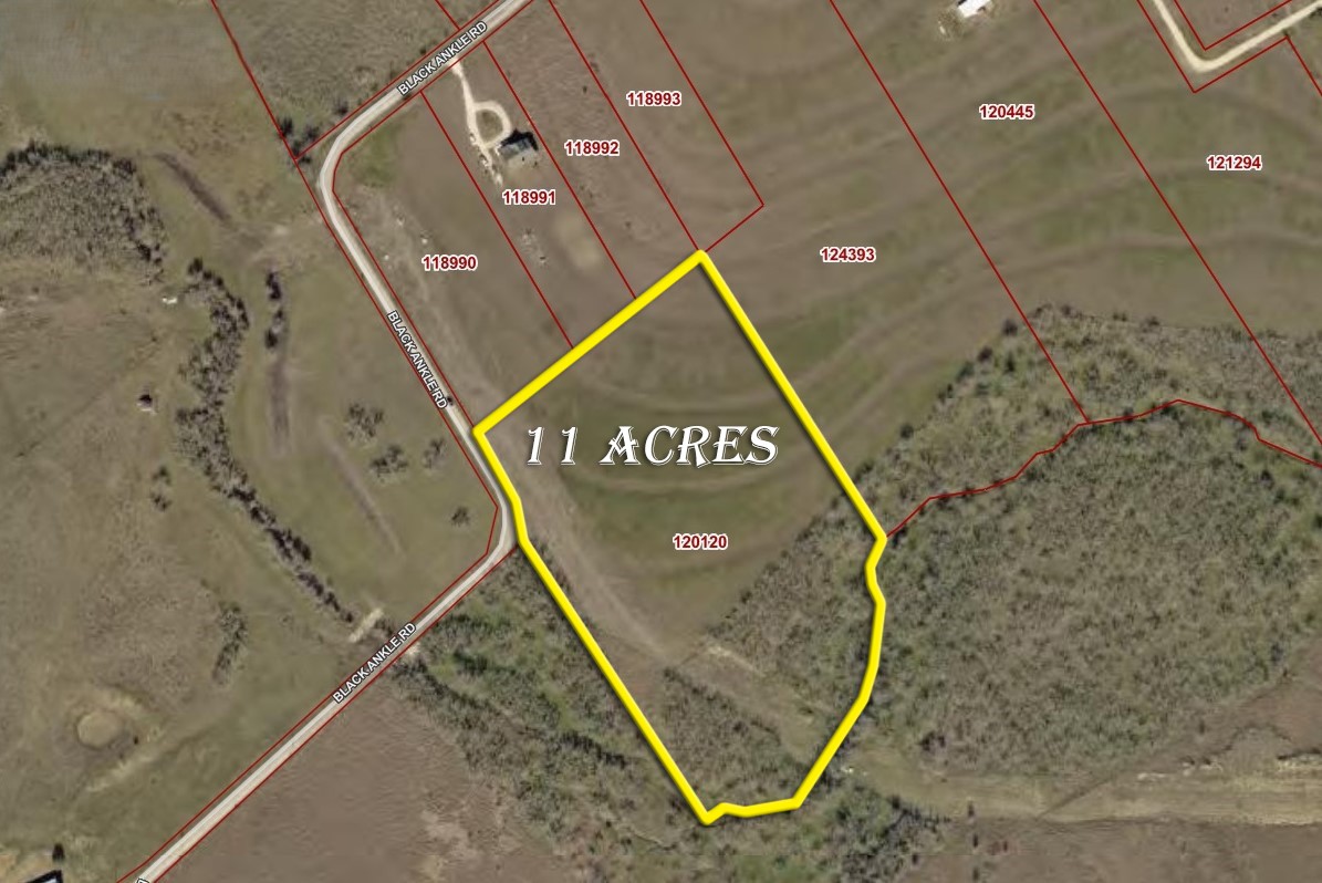 495 Black Ankle Road Lockhart, TX 78644 - Photo 6 of 7