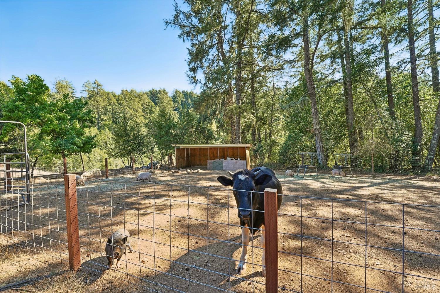 16560 Coleman Valley Road Occidental, CA 95465 - Photo 70 of 87 Gallery Image 70
