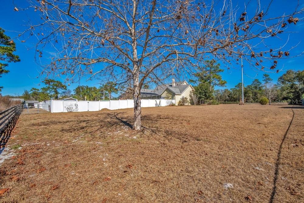 3160 Sixma Road Lake Helen, FL 32744 - Photo 4 of 35 Gallery Image 4