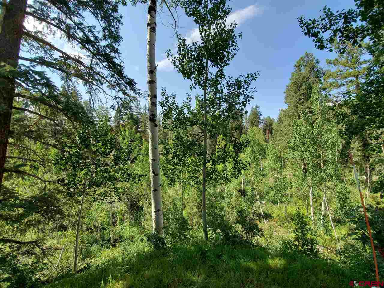 58 Ridge Road Durango, CO 81301 - Photo 5 of 34 Gallery Image 5