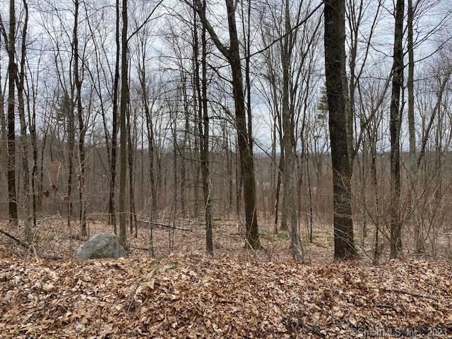 Tbd Sunset Hill Road, Unit 2 Thompson, CT 06277 - Photo 1 of 1