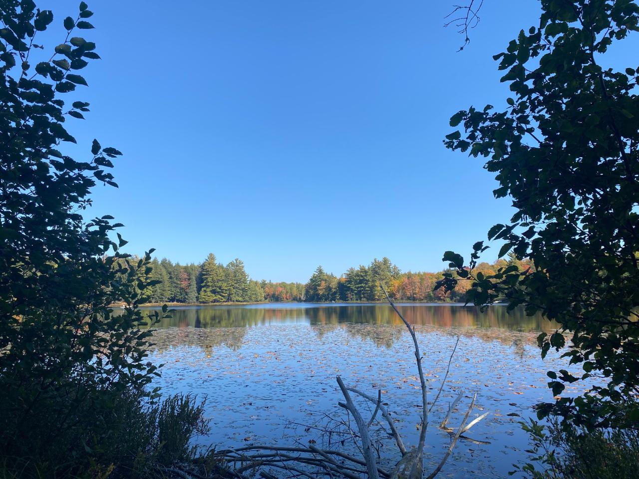 Lot 23 Grace Lake Road Watersmeet, MI 49969 - Photo 12 of 25 Gallery Image 12