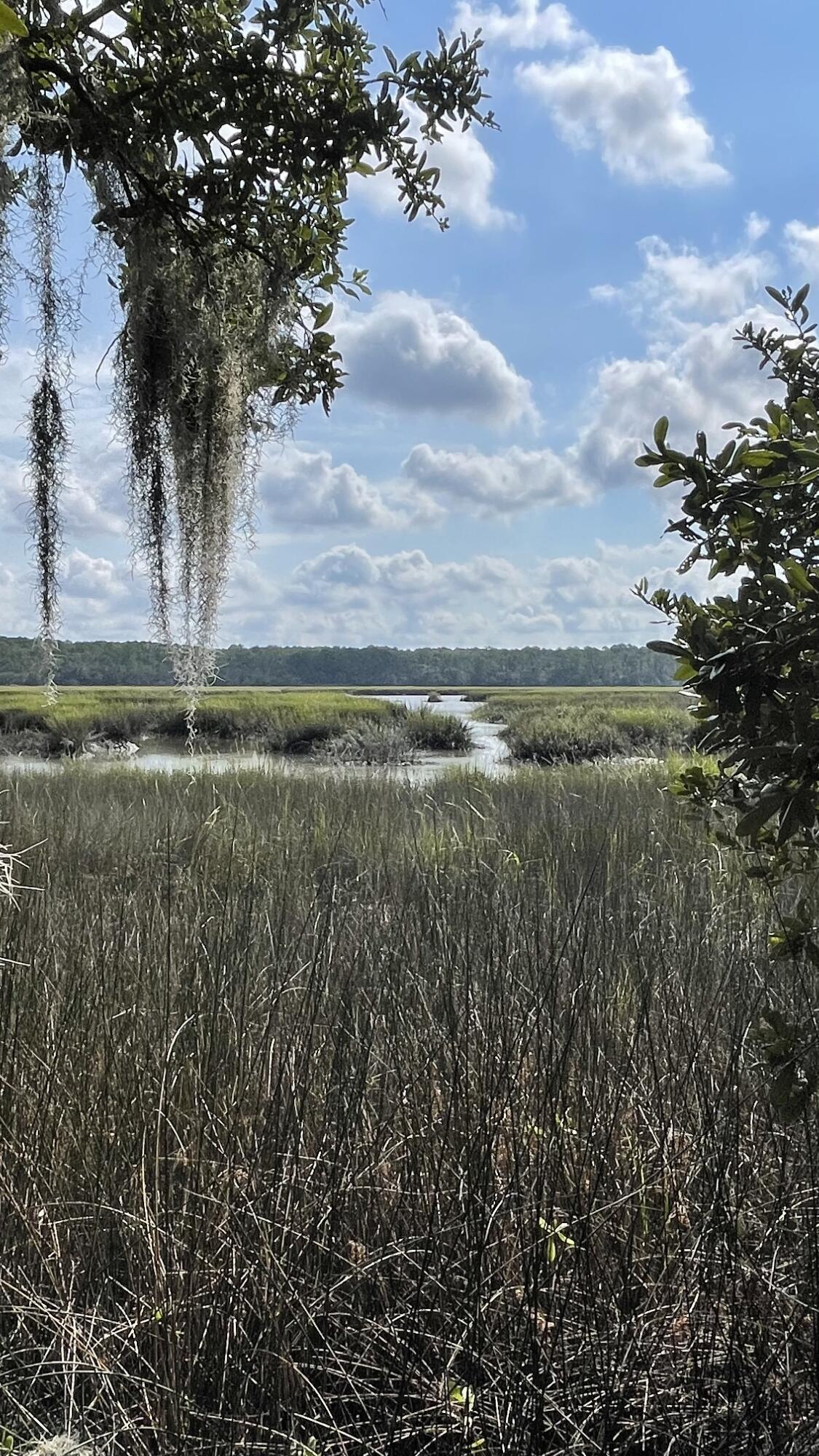 10 Huspah Court North Seabrook, SC 29940 - Photo 1 of 17 10 N Huspah Court