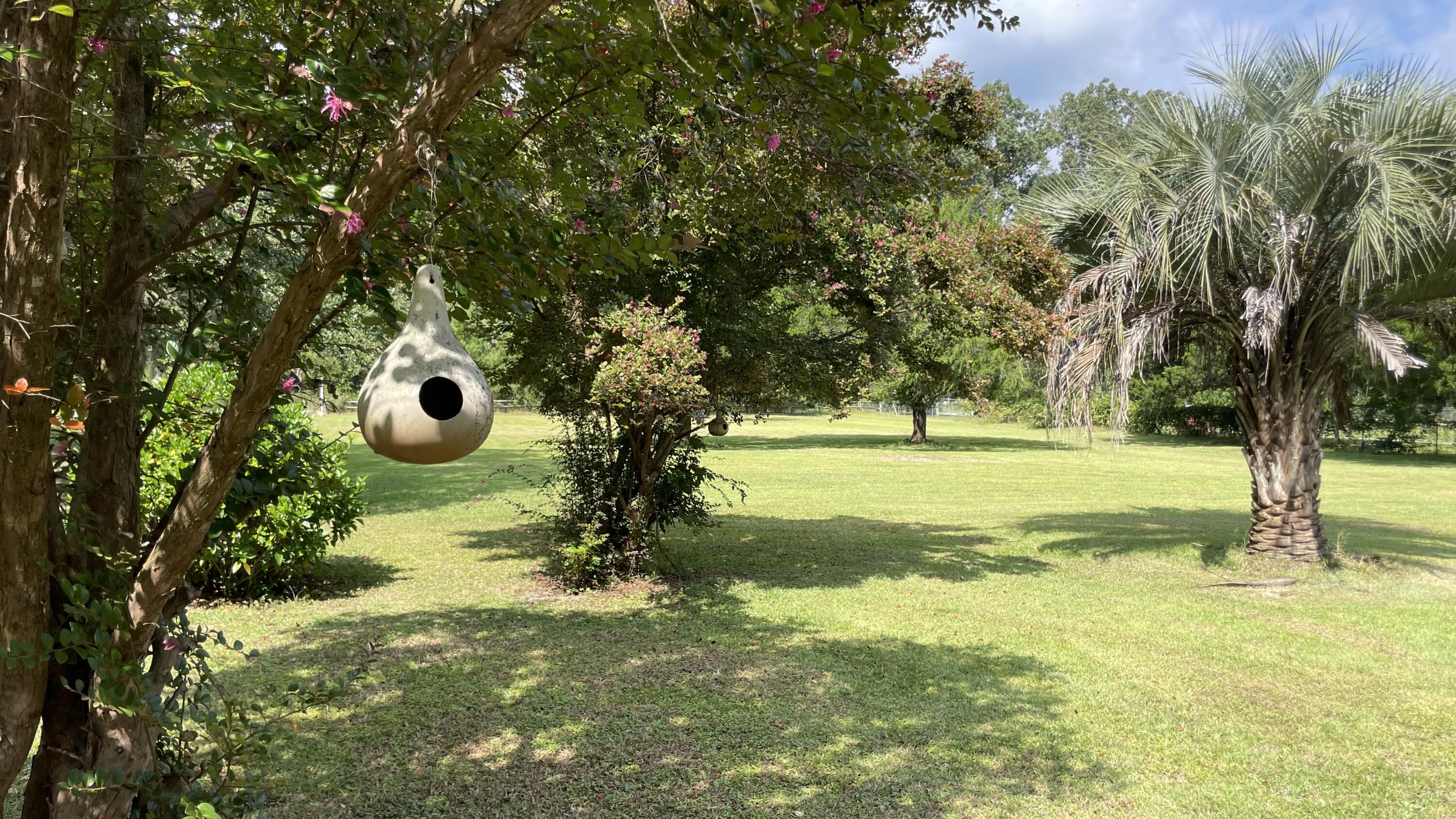 10 Huspah Court North Seabrook, SC 29940 - Photo 3 of 17 10 N Huspah Court