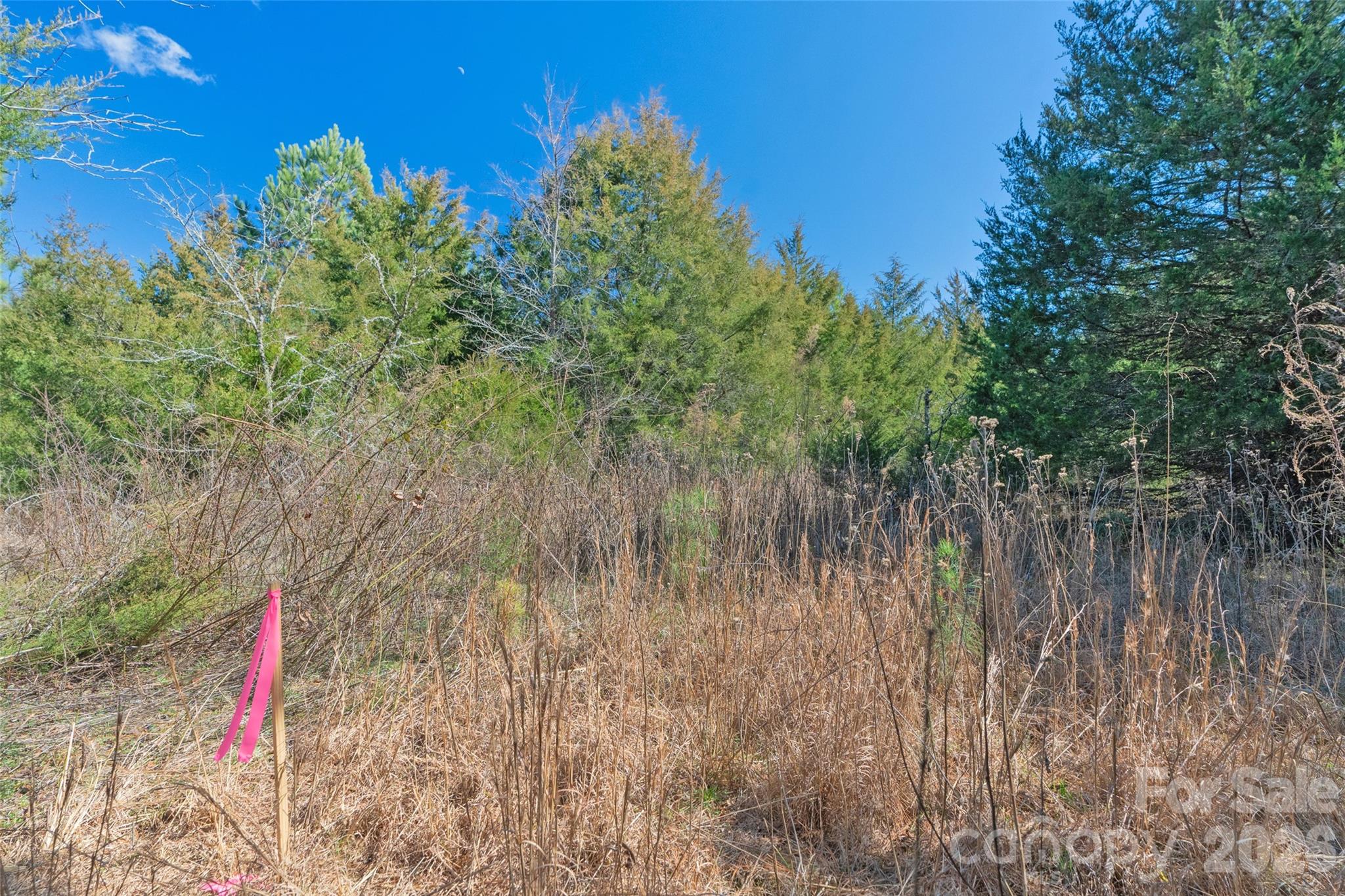 0 Cemetery Road, Unit 3 Fort Lawn, SC 29714 - Photo 10 of 20 Gallery Image 10