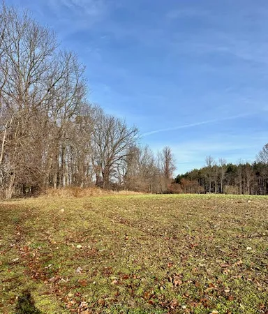 $145,000 | 0 Seymour Road, Unit PARCEL C, Grass Lake, MI 49240