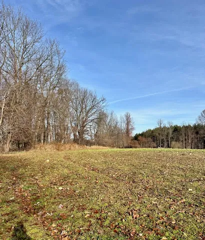 $150,000 | 0 Seymour Road, Unit PARCEL C, Grass Lake, MI 49240