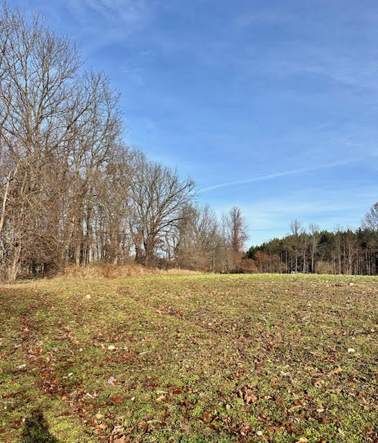 0 Seymour Road, Unit PARCEL C Grass Lake, MI 49240 - Photo 3 of 3 2